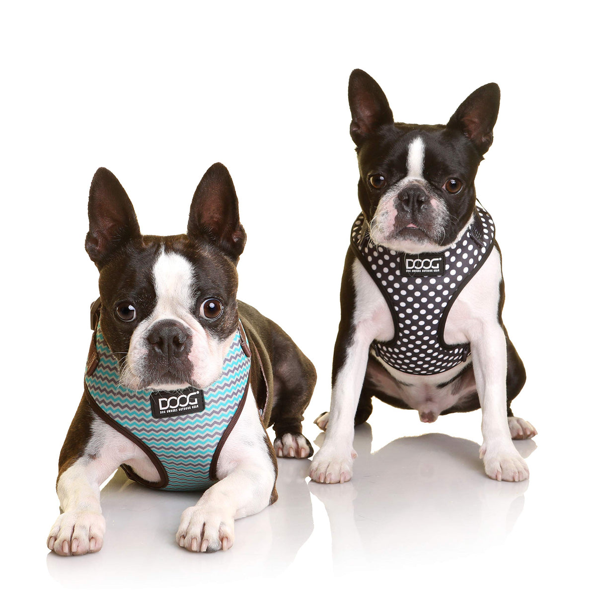 DOOG - All Weather 'Neoflex" Dog Harness, Flexible Neoprene Breathable Mesh Padding Light Wetsuit Material Water Friendly Draws Moisture Away Fir Skin Easy Fit Small, Medium, Large, XL Soft Comfortable 2 Point Adjustable Leash Training Run Walk Swim