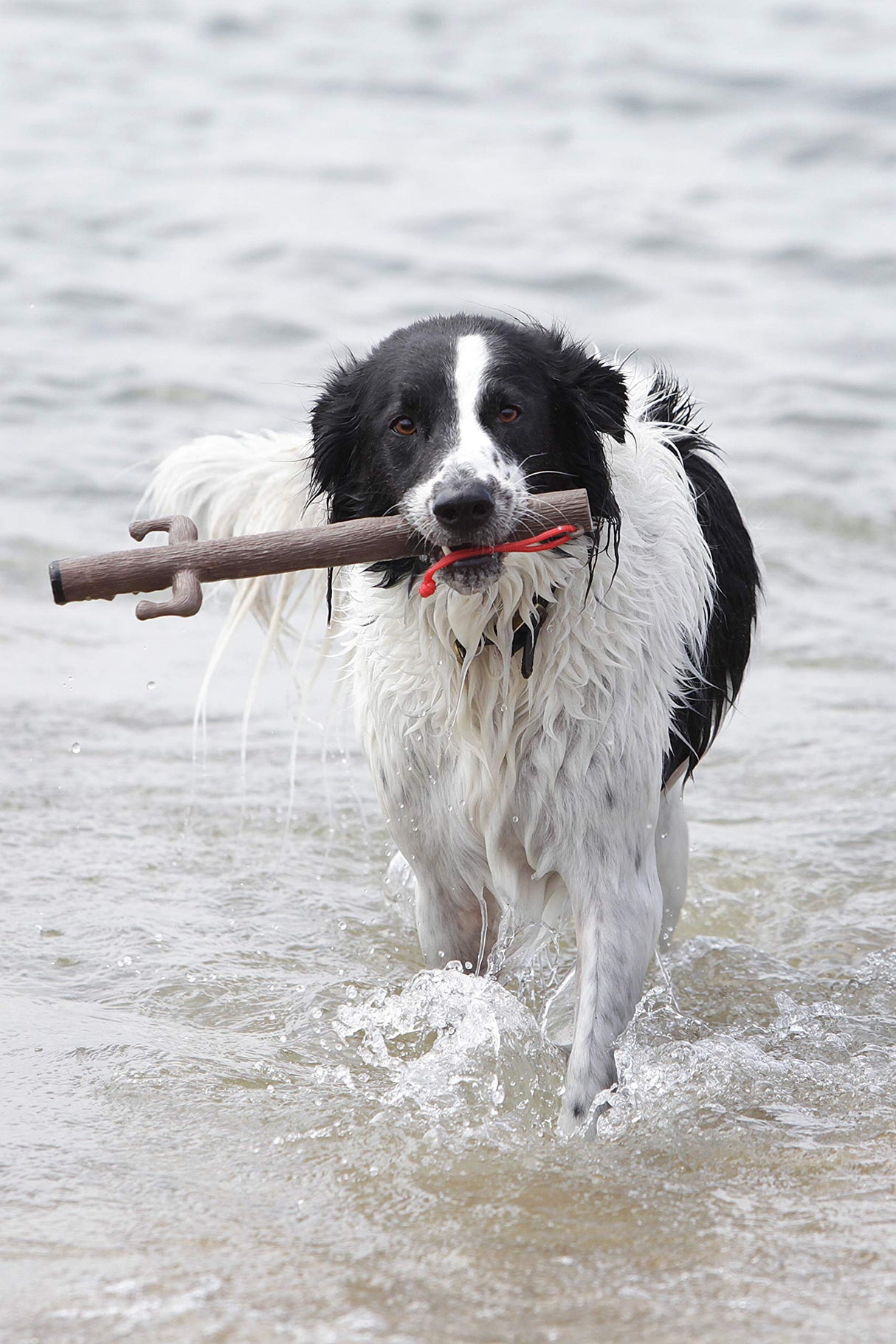 DOOG - The Supersticks "Captain Fantastic" Fetch Toys Safer Than Real Sticks, Splinter Free, Glow-In-The-Dark Eyes, Floats, Easy to Clean