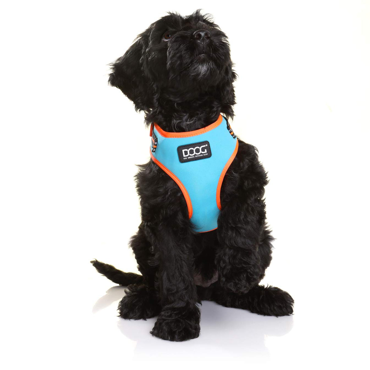 DOOG - All Weather 'Neoflex" Dog Harness, Flexible Neoprene Breathable Mesh Padding Light Wetsuit Material Water Friendly Draws Moisture Away Fir Skin Easy Fit Small, Medium, Large, XL Soft Comfortable 2 Point Adjustable Leash Training Run Walk Swim
