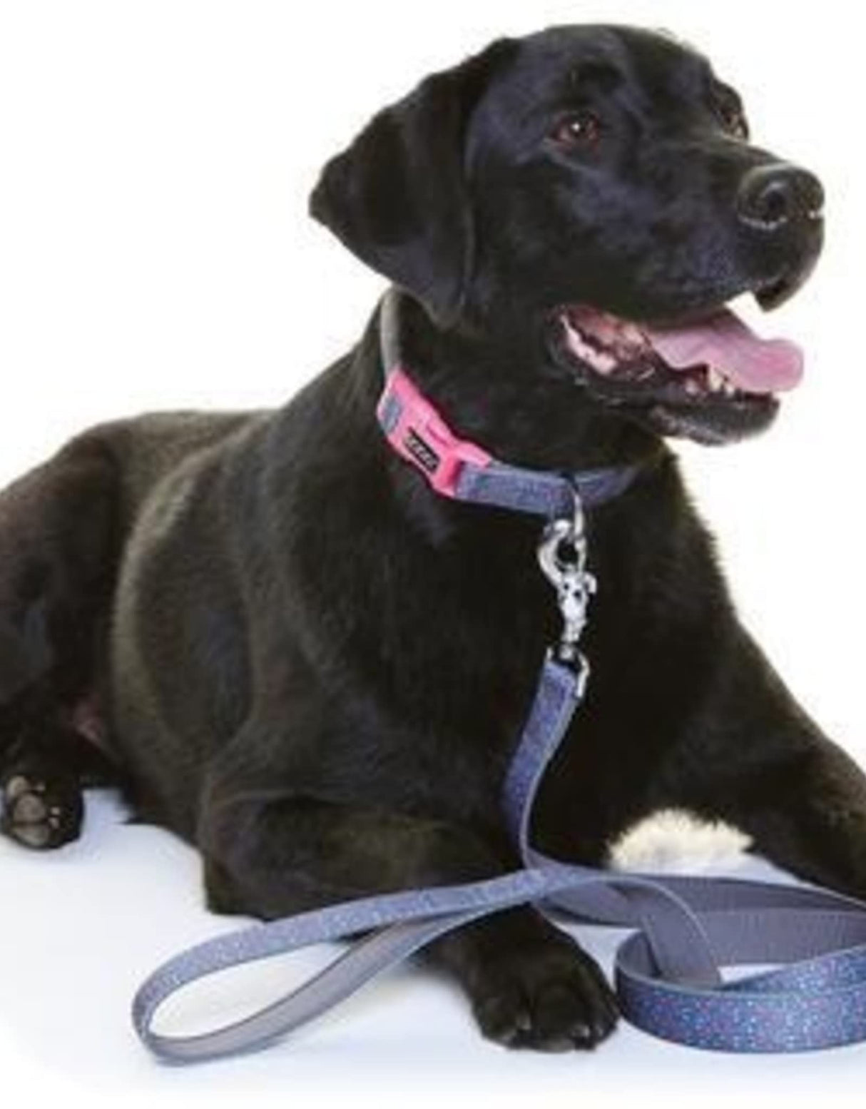 DOOG - Dog Lead (Small, Large & Clip-It Extra Large)