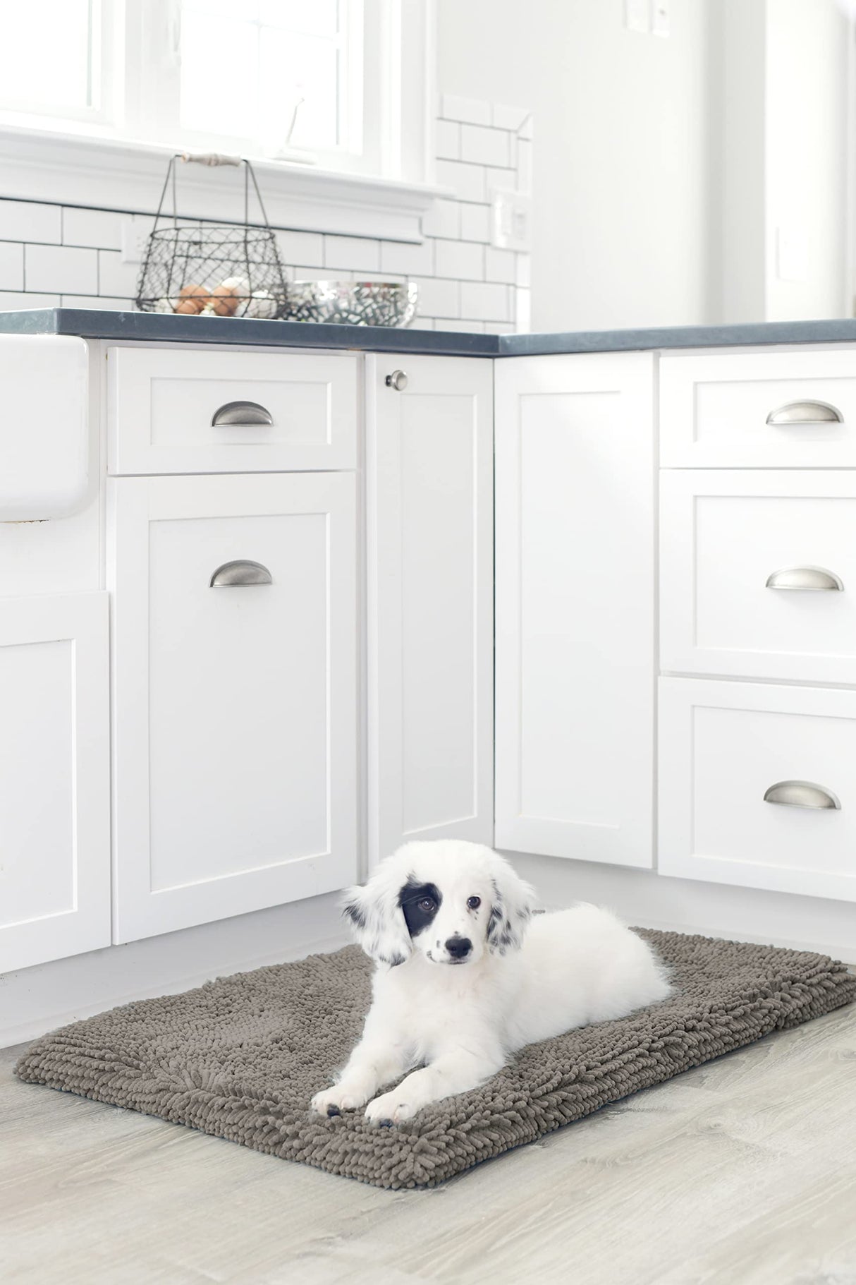 DGS Pet Products DGSDDCP2321 Dirty Dog Microfiber Cushion Pad, Cool Grey -23"x36" Large