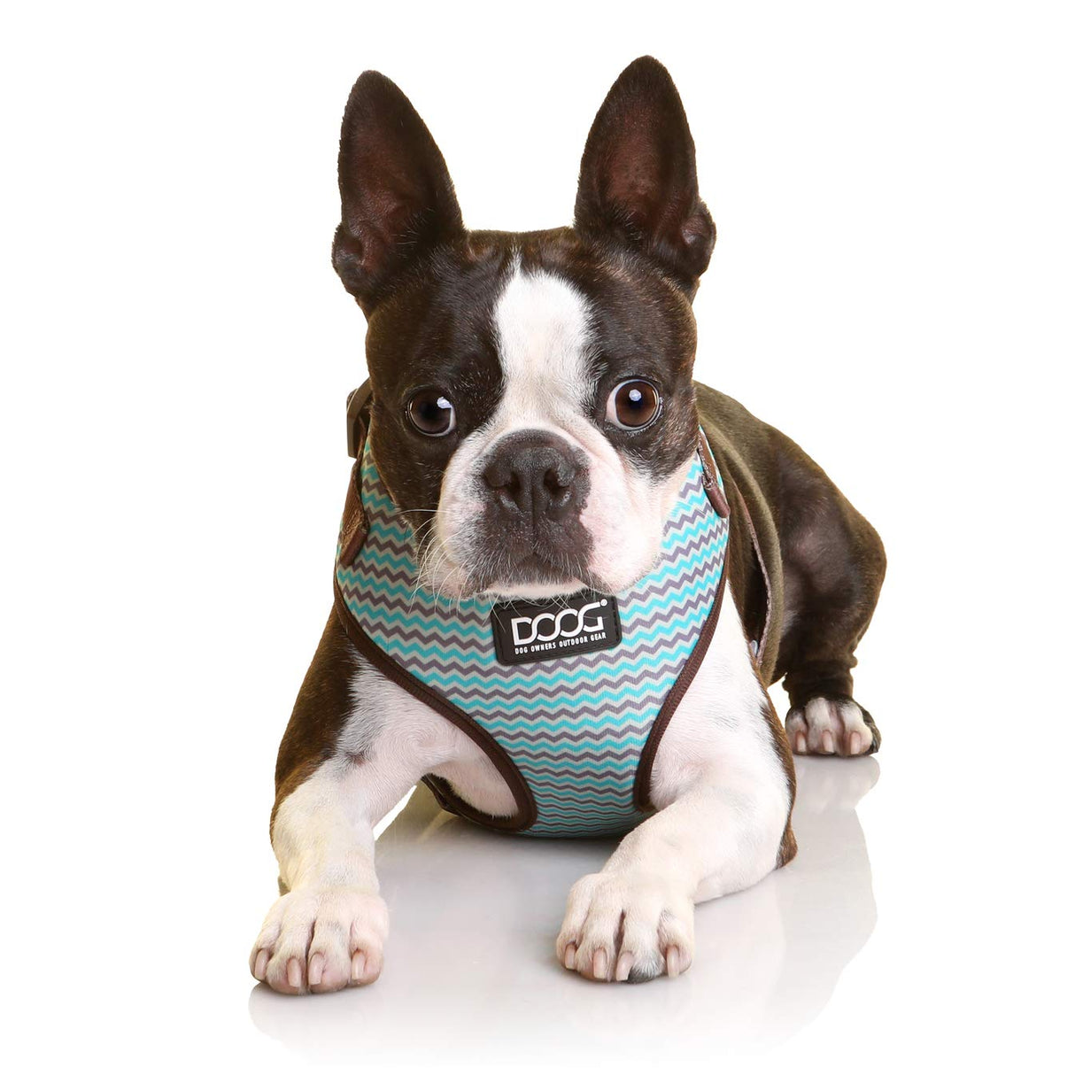 DOOG - All Weather 'Neoflex" Dog Harness, Flexible Neoprene Breathable Mesh Padding Light Wetsuit Material Water Friendly Draws Moisture Away Fir Skin Easy Fit Small, Medium, Large, XL Soft Comfortable 2 Point Adjustable Leash Training Run Walk Swim
