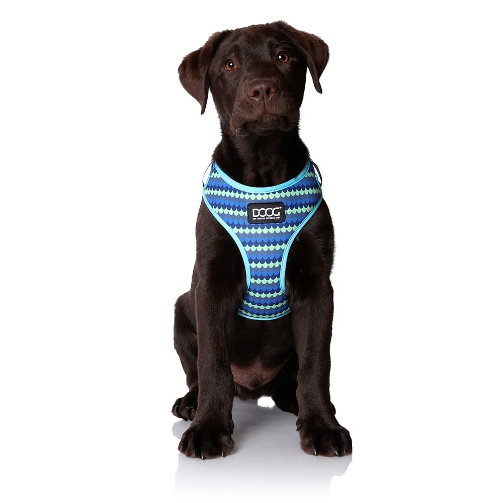 DOOG - All Weather 'Neoflex" Dog Harness, Flexible Neoprene Breathable Mesh Padding Light Wetsuit Material Water Friendly Draws Moisture Away Fir Skin Easy Fit Small, Medium, Large, XL Soft Comfortable 2 Point Adjustable Leash Training Run Walk Swim