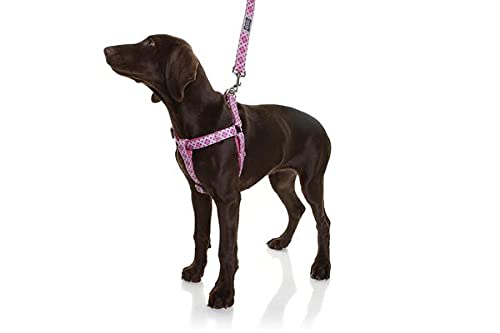 DOOG - Step-In Harness SCOOBY - XSmall