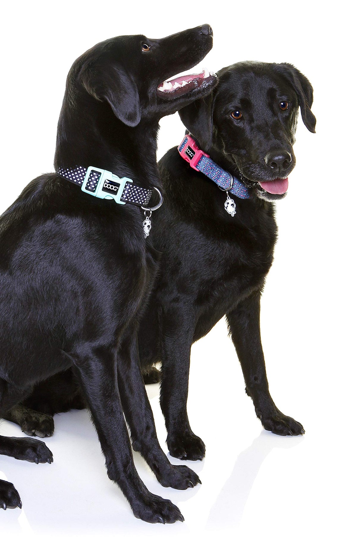 DOOG Neoprene Dog Collar -(MARLEY, Small | 9"-13"(0.7" Width), Neoprene Collar