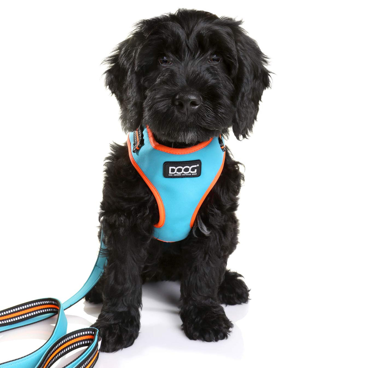 DOOG - All Weather 'Neoflex" Dog Harness, Flexible Neoprene Breathable Mesh Padding Light Wetsuit Material Water Friendly Draws Moisture Away Fir Skin Easy Fit Small, Medium, Large, XL Soft Comfortable 2 Point Adjustable Leash Training Run Walk Swim
