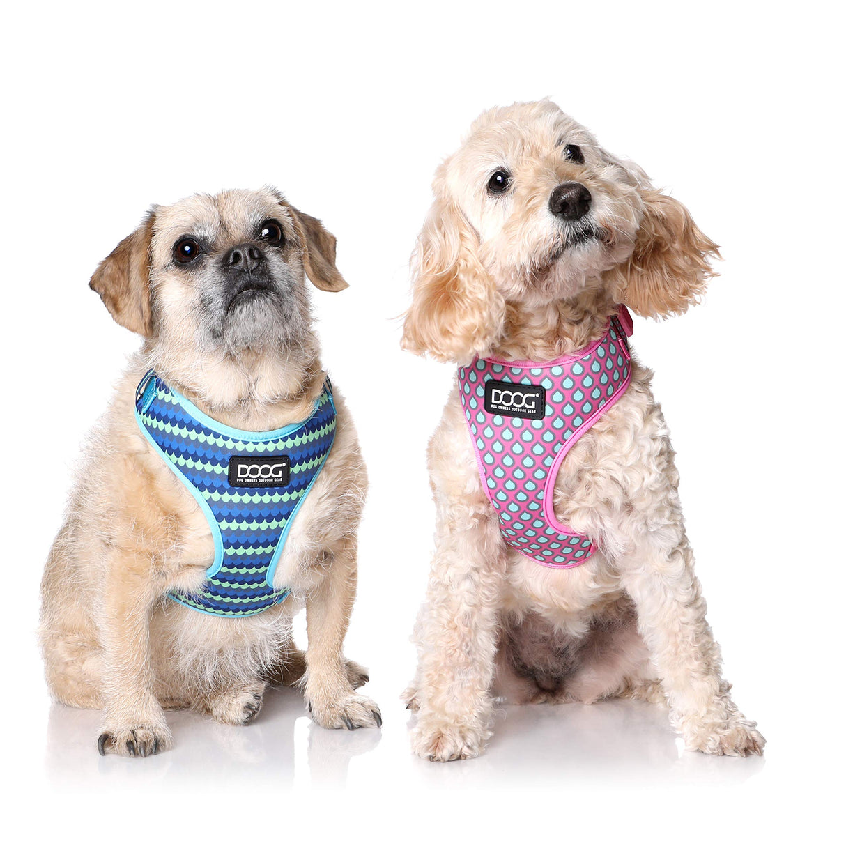 DOOG - All Weather 'Neoflex" Dog Harness, Flexible Neoprene Breathable Mesh Padding Light Wetsuit Material Water Friendly Draws Moisture Away Fir Skin Easy Fit Small, Medium, Large, XL Soft Comfortable 2 Point Adjustable Leash Training Run Walk Swim