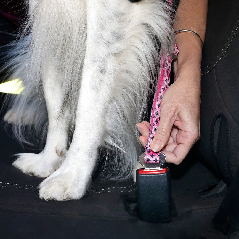 DOOG CRPBS-S Car Restraint - TOTO, Small