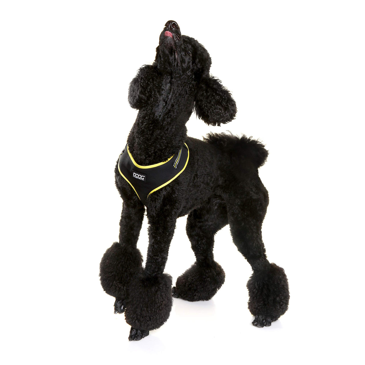 DOOG - All Weather 'Neoflex" Dog Harness, Flexible Neoprene Breathable Mesh Padding Light Wetsuit Material Water Friendly Draws Moisture Away Fir Skin Easy Fit Small, Medium, Large, XL Soft Comfortable 2 Point Adjustable Leash Training Run Walk Swim