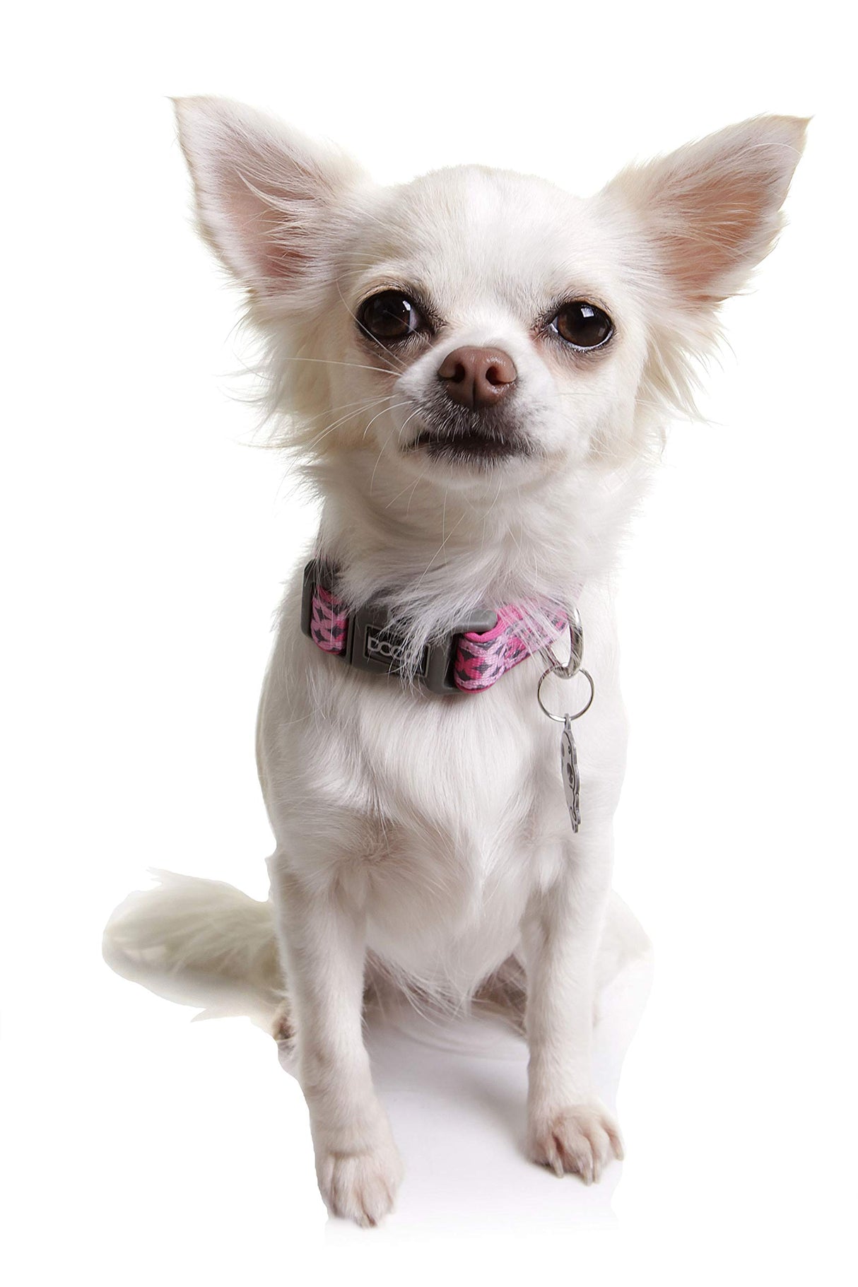 DOOG - Soft and Breathable Neoprene Padded Adjustable Dog Collar