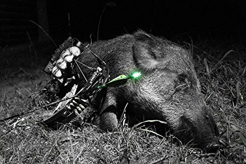 Nockturnal NT-105 GT Green 3-pack