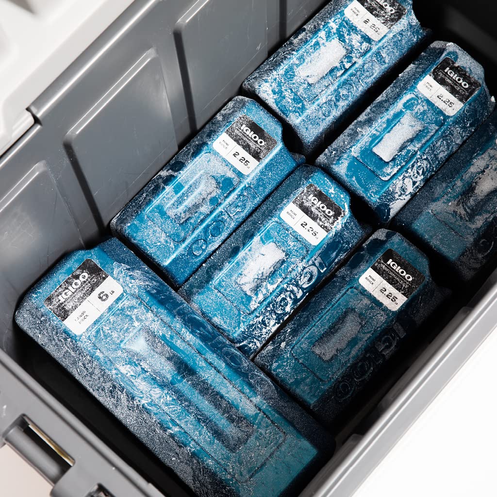 Igloo 00025465 Performance Mini Ice Brick 2.25 Pounds BLUE