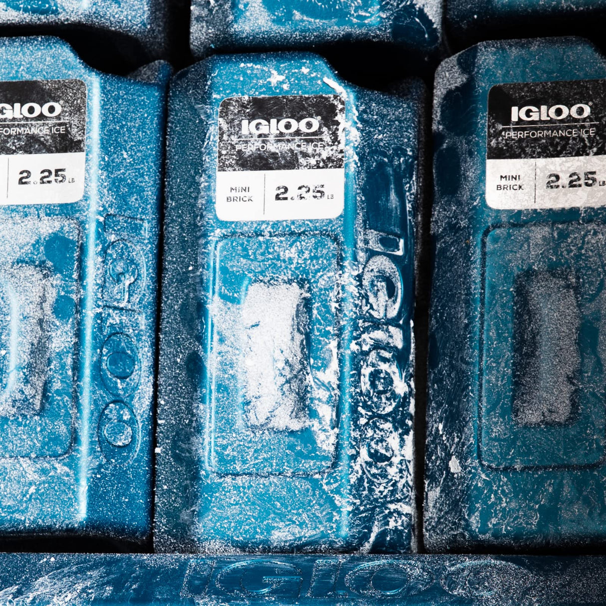 Igloo 00025465 Performance Mini Ice Brick 2.25 Pounds BLUE