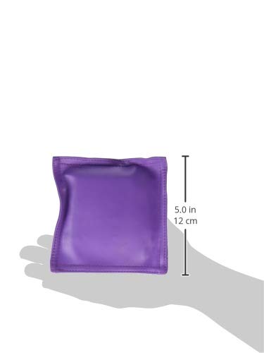 Champion Sports MBB5 5 Inch Bean Bags Set of 12