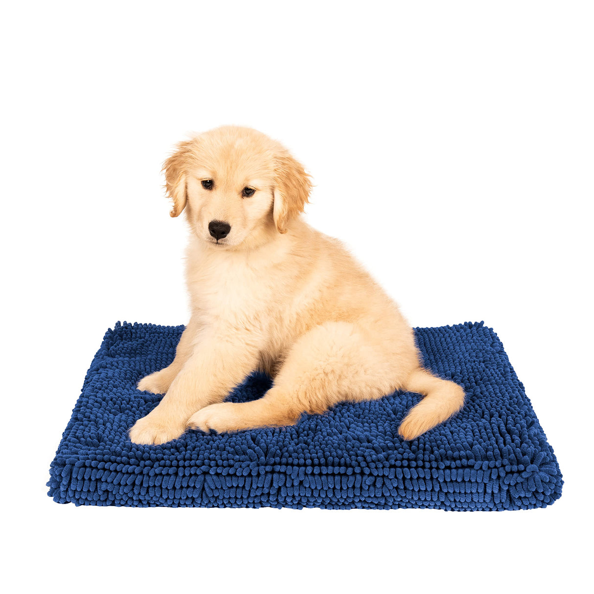 DGS Pet Products DGSDDCP2197 Dirty Dog Microfiber Cushion Pad, Bermuda Blue -21"x30" Medium