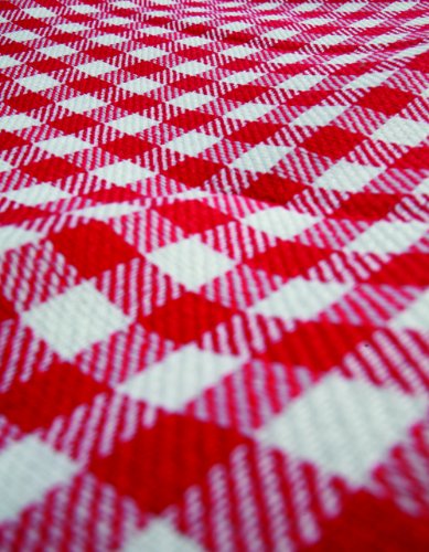 Camco 42801 Picnic Blanket (51" x 59", Red/White)