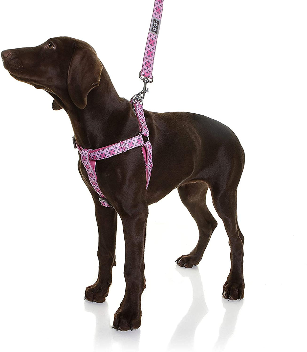 DOOG - Step-In Harness SCOOBY - XSmall