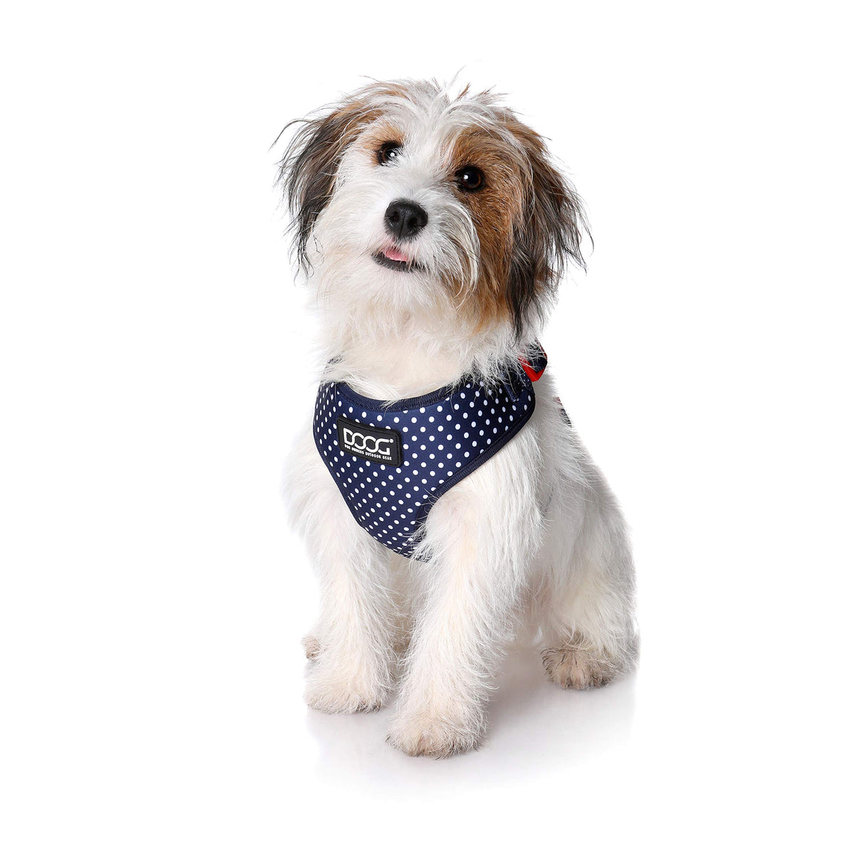 DOOG - All Weather 'Neoflex" Dog Harness, Flexible Neoprene Breathable Mesh Padding Light Wetsuit Material Water Friendly Draws Moisture Away Fir Skin Easy Fit Small, Medium, Large, XL Soft Comfortable 2 Point Adjustable Leash Training Run Walk Swim