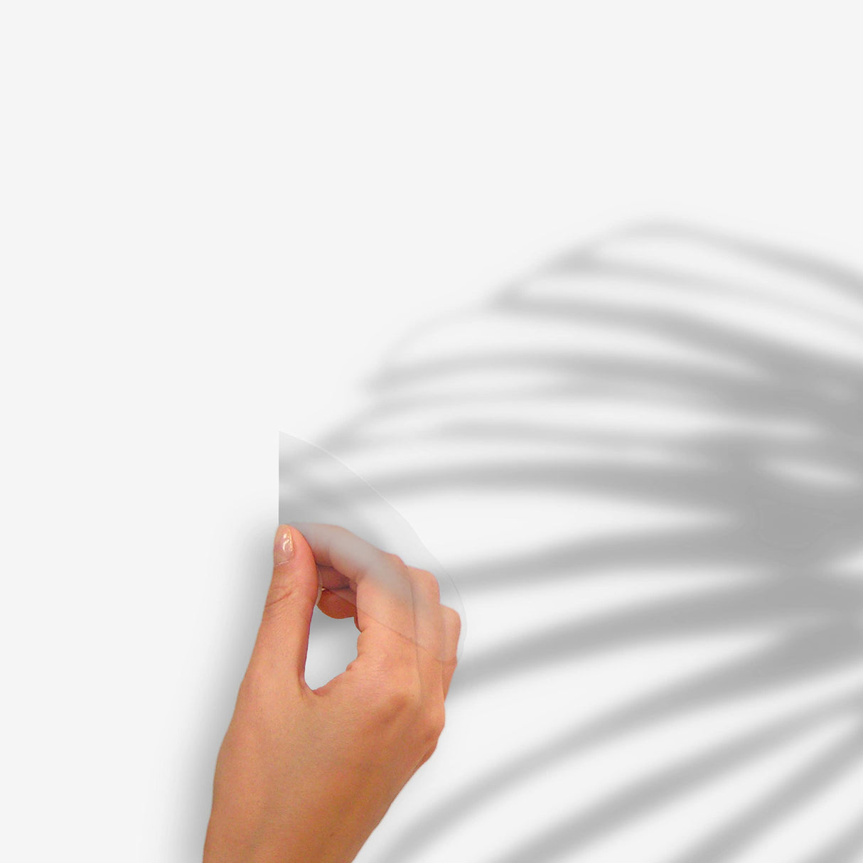 RoomMates RMK5063SLM Mr. Kate Tropical Shadow Palm Frond Peel and Stick Wall Decals -Grey