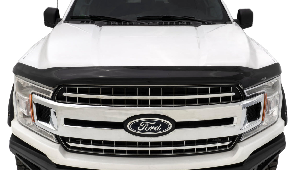 Husky Liners Hood Protector | Fits 2008-2010 Chrysler Town & Country, High Profile/Bug Shield - 1 pc., Smoke | 2815039