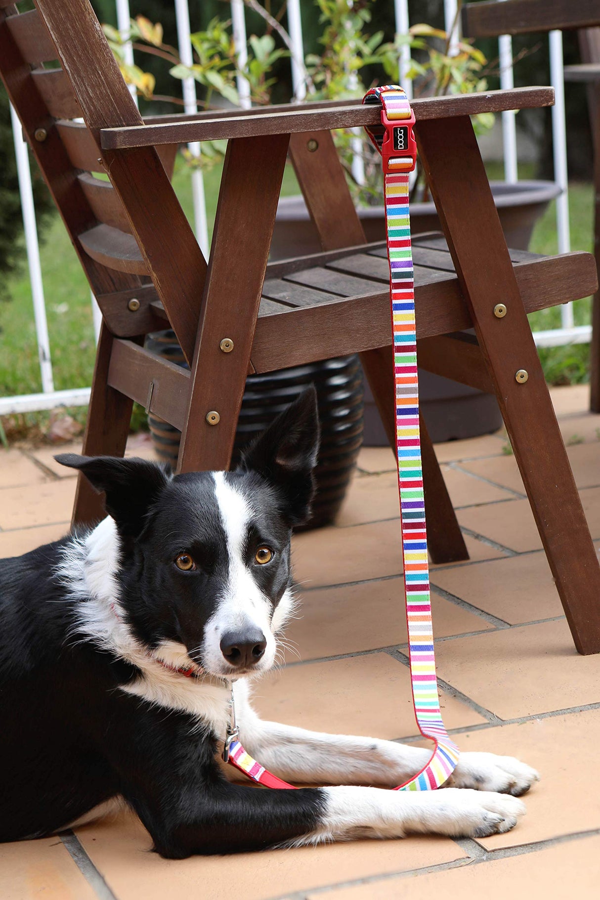 DOOG - Dog Lead (Small, Large & Clip-It Extra Large)