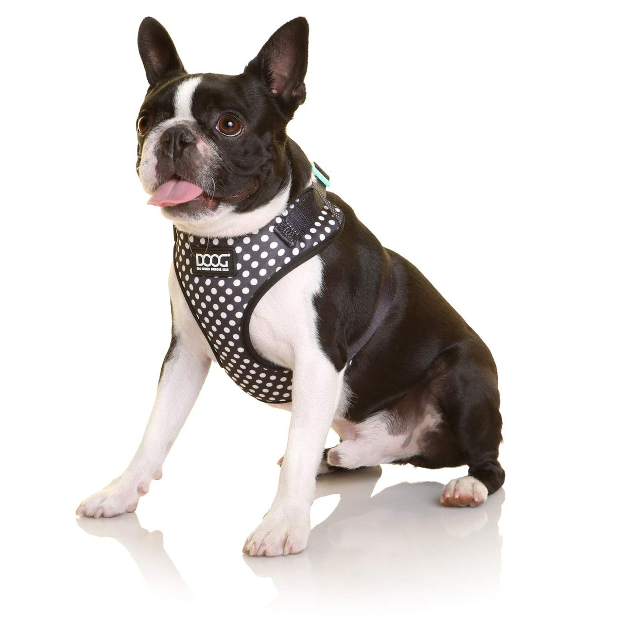 DOOG - All Weather 'Neoflex" Dog Harness, Flexible Neoprene Breathable Mesh Padding Light Wetsuit Material Water Friendly Draws Moisture Away Fir Skin Easy Fit Small, Medium, Large, XL Soft Comfortable 2 Point Adjustable Leash Training Run Walk Swim