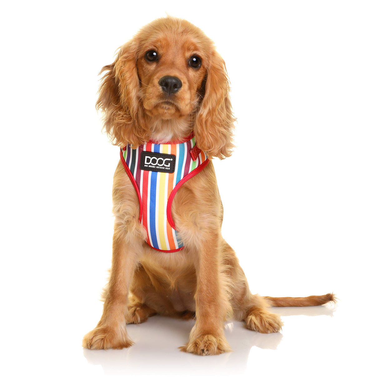 DOOG - All Weather 'Neoflex" Dog Harness, Flexible Neoprene Breathable Mesh Padding Light Wetsuit Material Water Friendly Draws Moisture Away Fir Skin Easy Fit Small, Medium, Large, XL Soft Comfortable 2 Point Adjustable Leash Training Run Walk Swim