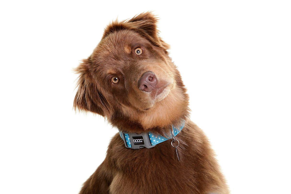 DOOG - Soft and Breathable Neoprene Padded Adjustable Dog Collar