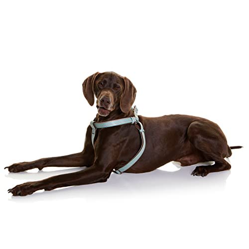DOOG - Step-In Harness SCOOBY - XSmall