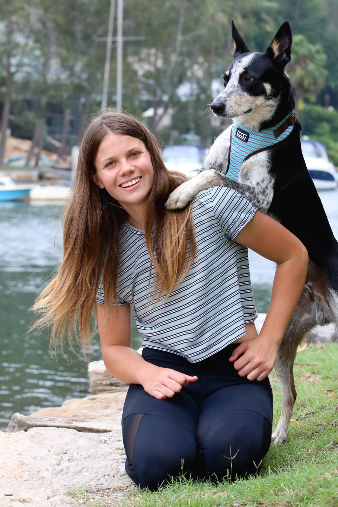 DOOG - All Weather 'Neoflex" Dog Harness, Flexible Neoprene Breathable Mesh Padding Light Wetsuit Material Water Friendly Draws Moisture Away Fir Skin Easy Fit Small, Medium, Large, XL Soft Comfortable 2 Point Adjustable Leash Training Run Walk Swim