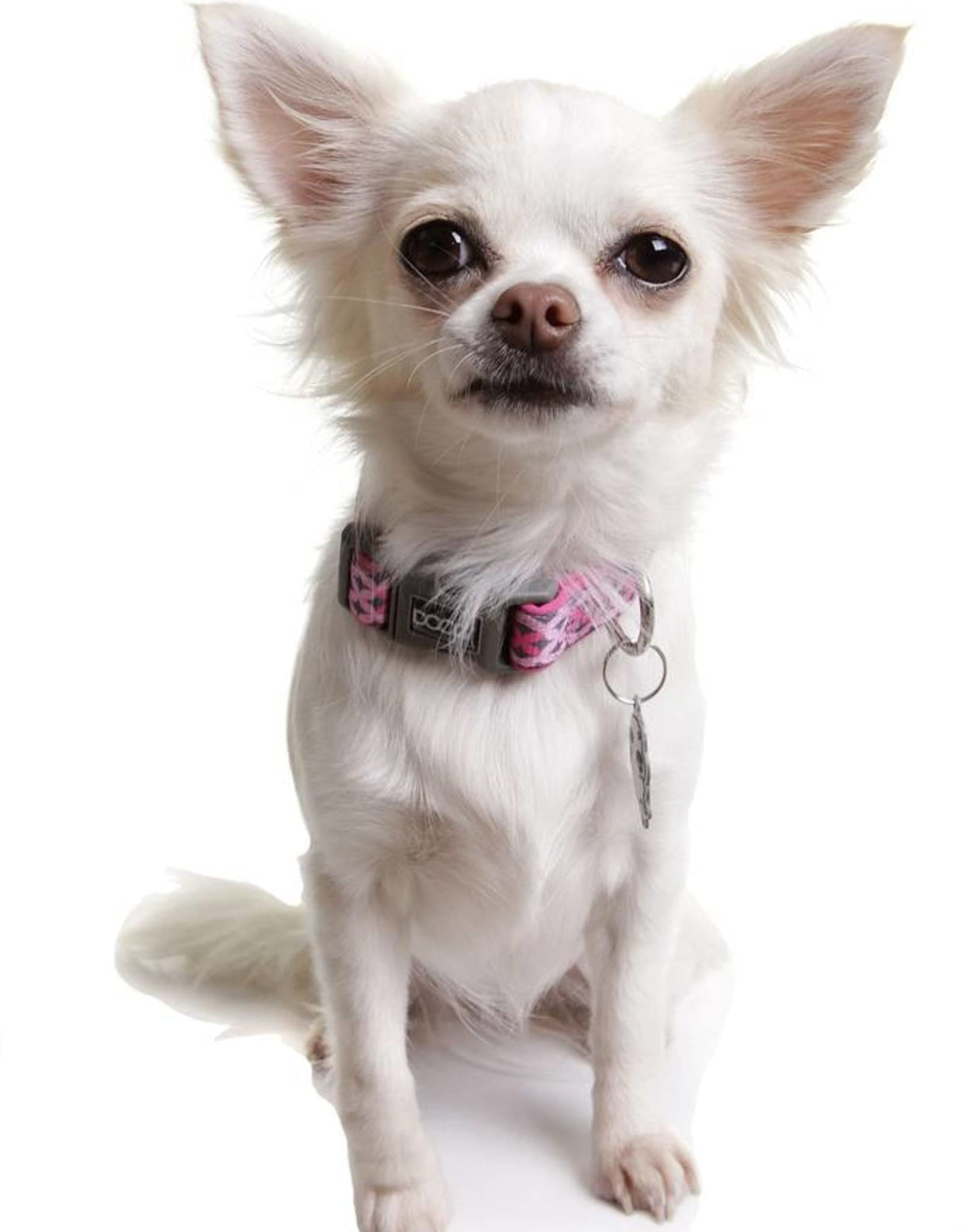 DOOG - Dog Lead (Small, Large & Clip-It Extra Large)