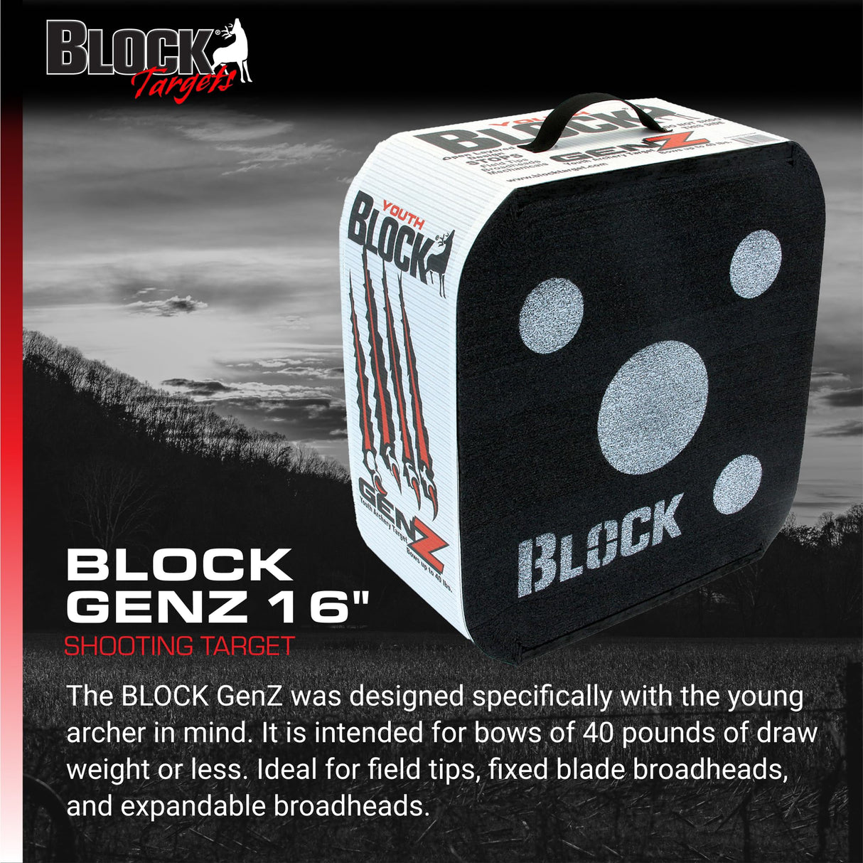 Block Targets B51000 GenZ 16"x8"x18"