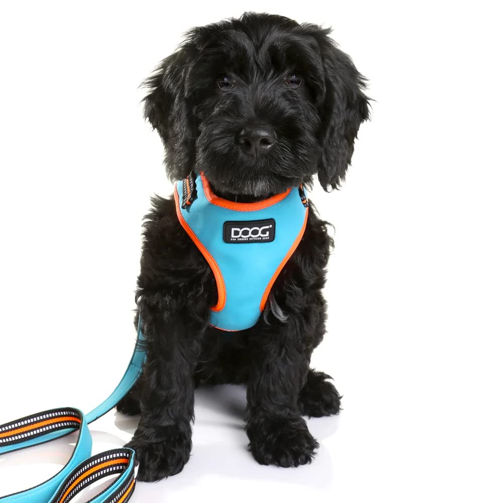 DOOG - All Weather 'Neoflex" Dog Harness, Flexible Neoprene Breathable Mesh Padding Light Wetsuit Material Water Friendly Draws Moisture Away Fir Skin Easy Fit Small, Medium, Large, XL Soft Comfortable 2 Point Adjustable Leash Training Run Walk Swim