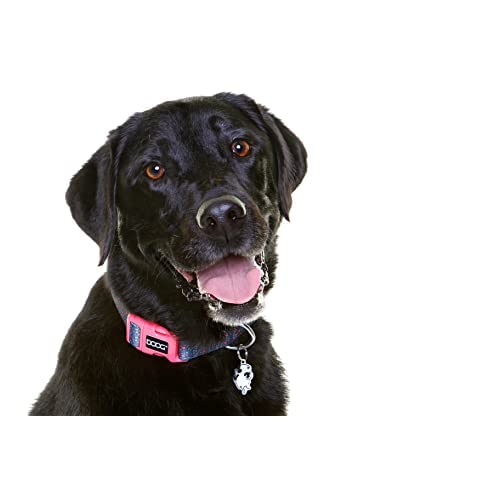 DOOG - Soft and Breathable Neoprene Padded Adjustable Dog Collar