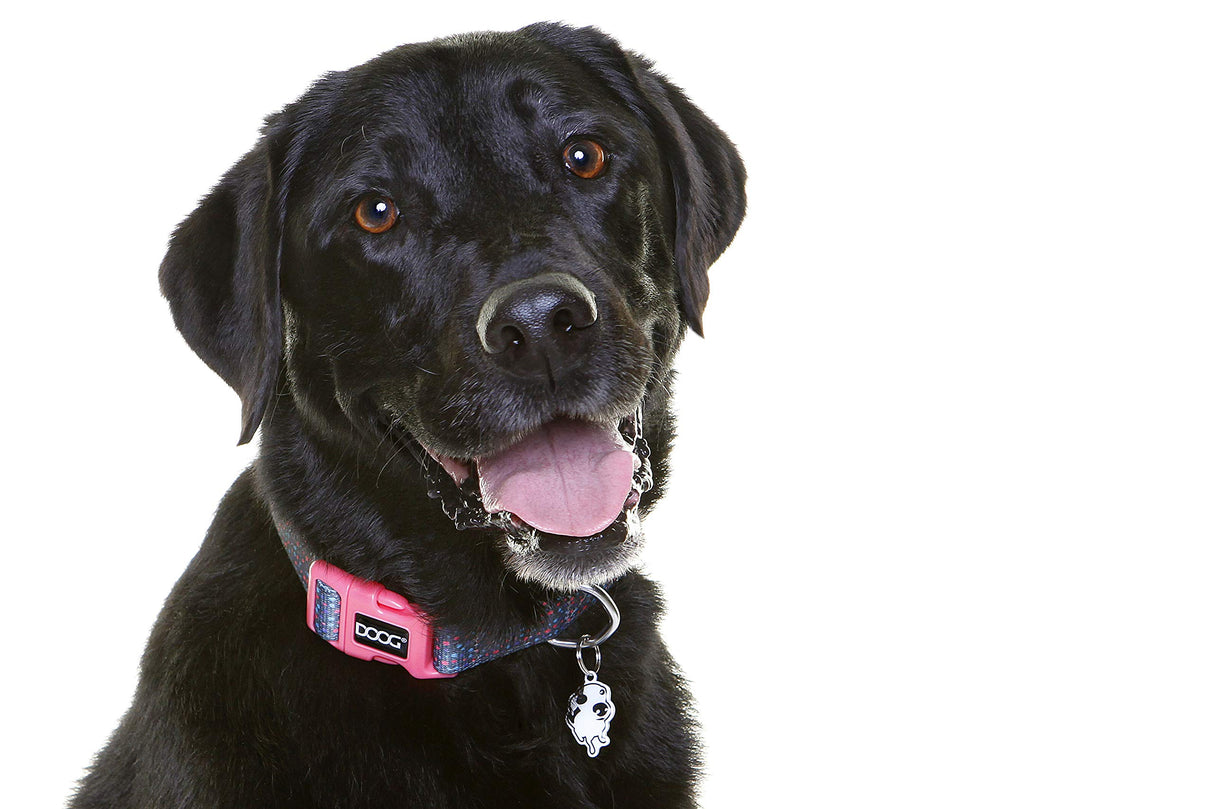 DOOG - Soft and Breathable Neoprene Padded Adjustable Dog Collar