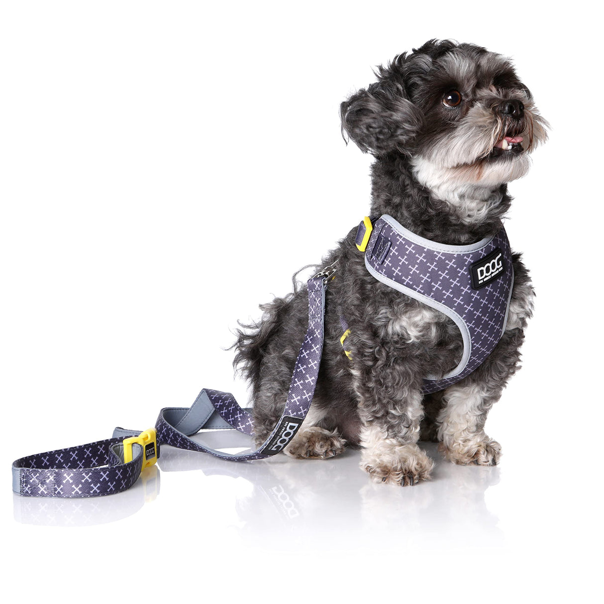 DOOG - All Weather 'Neoflex" Dog Harness, Flexible Neoprene Breathable Mesh Padding Light Wetsuit Material Water Friendly Draws Moisture Away Fir Skin Easy Fit Small, Medium, Large, XL Soft Comfortable 2 Point Adjustable Leash Training Run Walk Swim