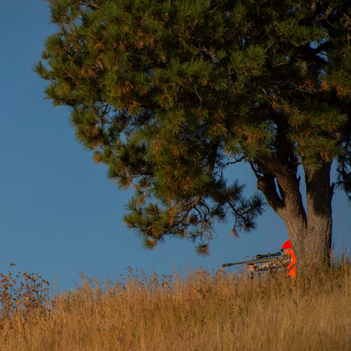 Allen Company 2337 Men's Softshell Blaze Hunting Vest -SIZE: Large, Blaze Orange