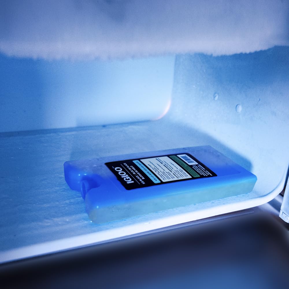 Igloo 00025199 Maxcold Ice Freeze Ice Block, Medium -Blue