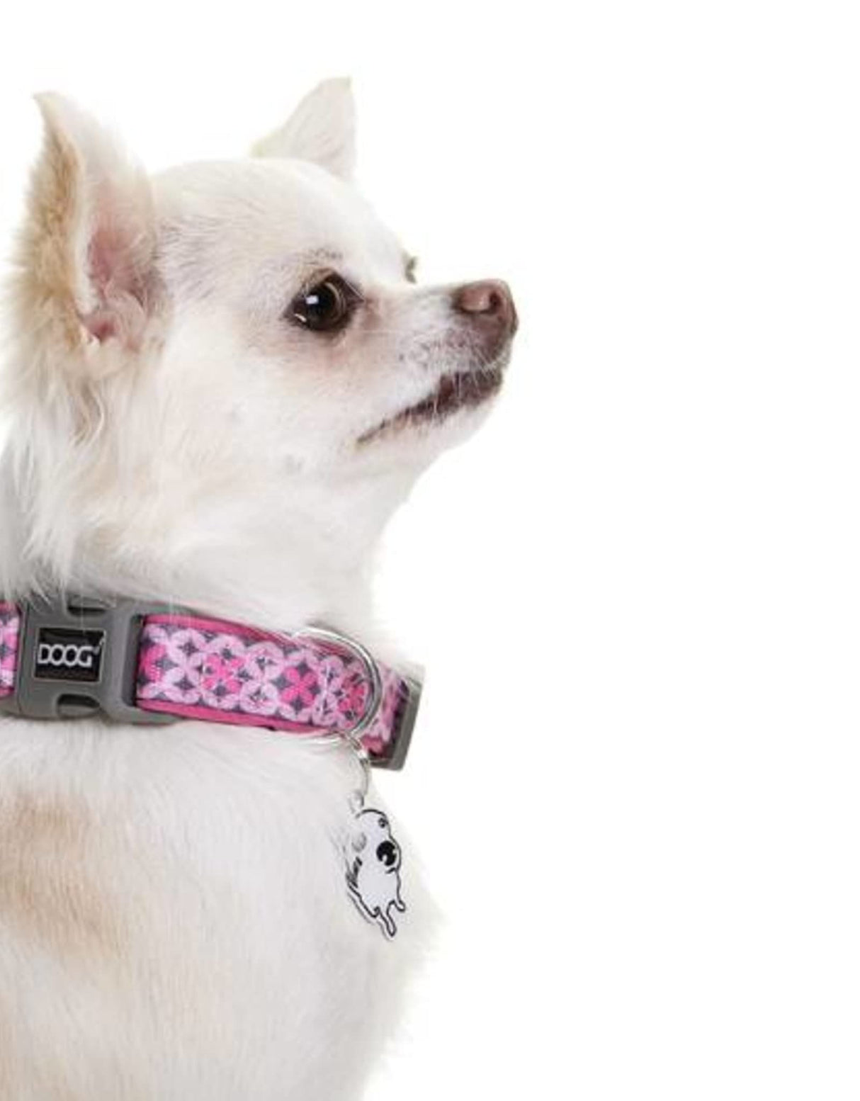 DOOG - Dog Lead (Small, Large & Clip-It Extra Large)