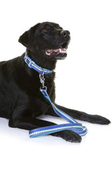 DOOG - Soft and Breathable Neoprene Padded Adjustable Dog Collar