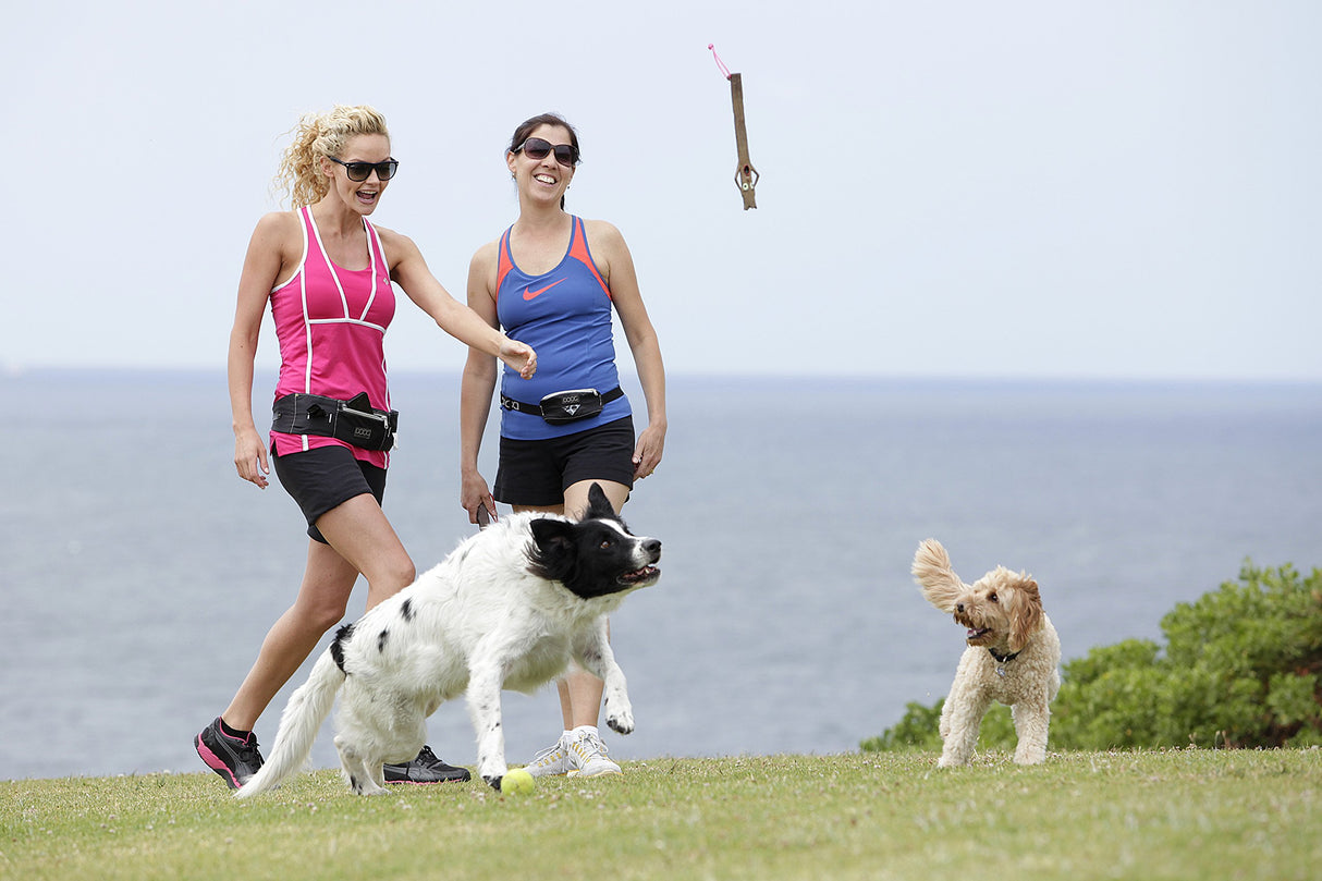 DOOG - The Supersticks "Captain Fantastic" Fetch Toys Safer Than Real Sticks, Splinter Free, Glow-In-The-Dark Eyes, Floats, Easy to Clean