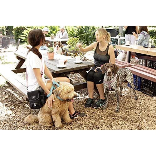 DOOG - Dog Lead (Small, Large & Clip-It Extra Large)