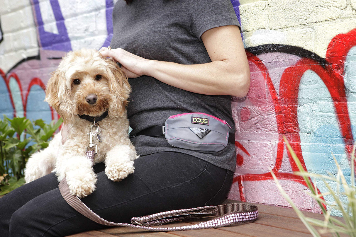 DOOG - Dog Lead (Small, Large & Clip-It Extra Large)