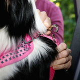 DOOG CRPBS-S Car Restraint - TOTO, Small
