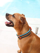 DOOG - Soft and Breathable Neoprene Padded Adjustable Dog Collar
