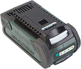 Hooyman 655237 40 Volt Lithium-Ion Battery, 2ah