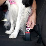 DOOG CRPBS-S Car Restraint - TOTO, Small