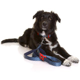 DOOG - Dog Lead (Small, Large & Clip-It Extra Large)