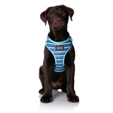 DOOG - All Weather 'Neoflex" Dog Harness, Flexible Neoprene Breathable Mesh Padding Light Wetsuit Material Water Friendly Draws Moisture Away Fir Skin Easy Fit Small, Medium, Large, XL Soft Comfortable 2 Point Adjustable Leash Training Run Walk Swim