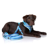 DOOG - All Weather 'Neoflex" Dog Harness, Flexible Neoprene Breathable Mesh Padding Light Wetsuit Material Water Friendly Draws Moisture Away Fir Skin Easy Fit Small, Medium, Large, XL Soft Comfortable 2 Point Adjustable Leash Training Run Walk Swim